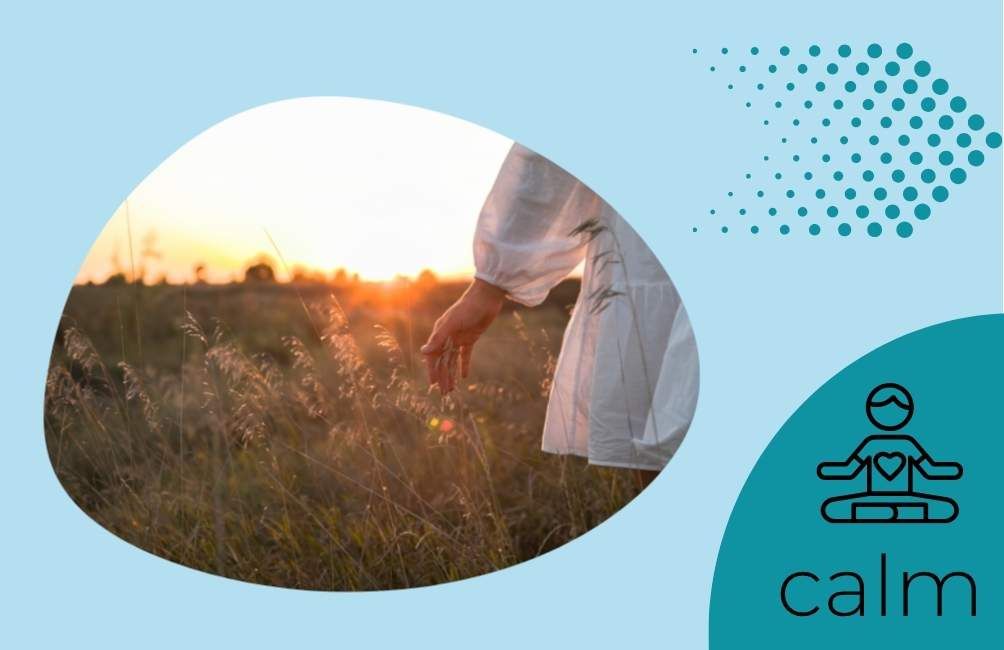 Infographic states calm with animated picture of person sitting with a heart on their chest area. Picture of a field of long grass, low sun and a person's hand brushing along the long grass.